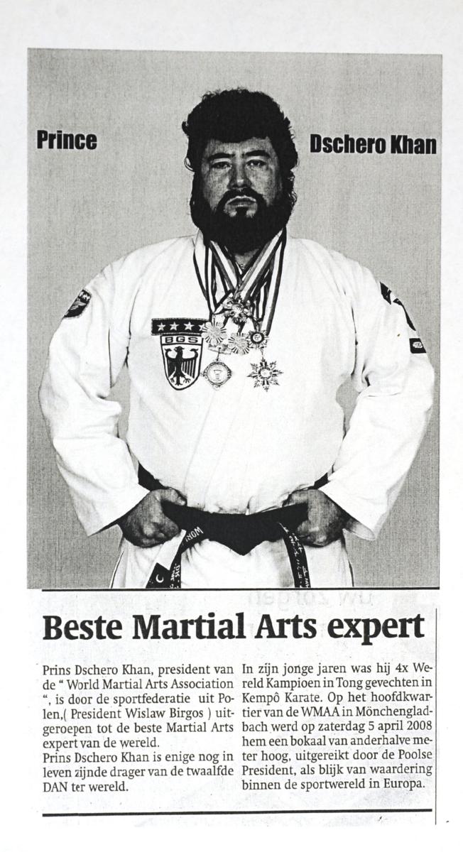 best martial arts expert 5962